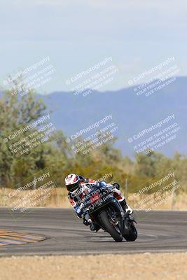 media/Feb-04-2024-SoCal Trackdays (Sun) [[91d6515b1d]]/2-Turn 3 (1015am)/